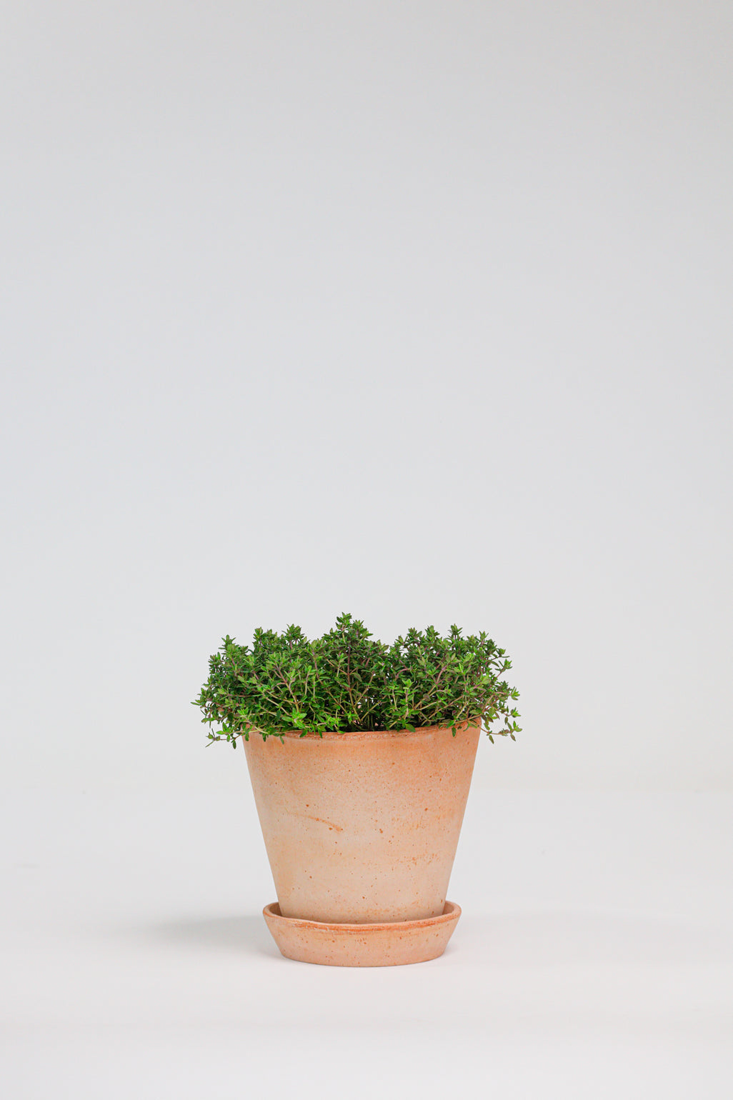 products/SotoProductShootLowQ-1712.jpg